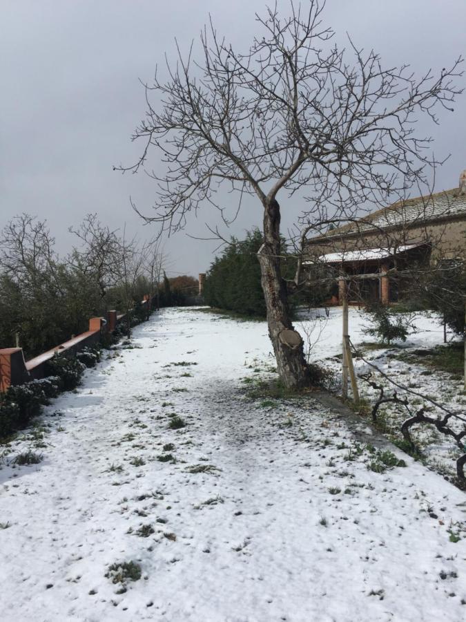 Vila Malicodia Santa Maria di Licodia Exteriér fotografie